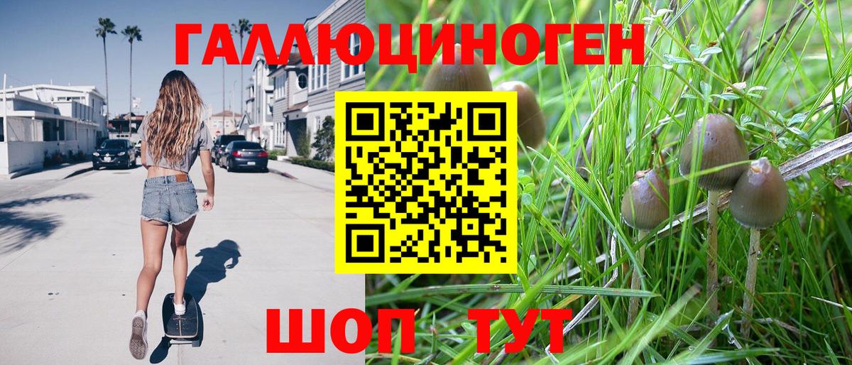 Дедовск  Псилоцибиновые грибы GOLDEN TEACHER  Псилоцибиновые грибы MAGIC MUSHROOMS  Вход с VPN 