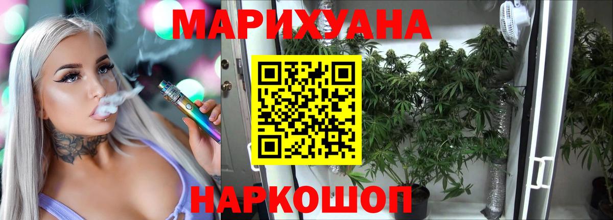 Бошки Шишки планчик Дедовск